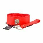 n11935-bound-to-please-furry-collar-with-leash-red