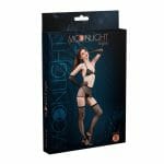 n11796-moonlight-black-sparkle-bikini-stocking-set-3