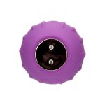 n12245-loving-joy-rose-licking-clitoral-vibrator-purple-2